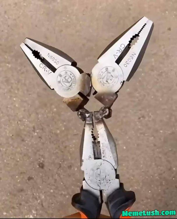 What would you name this morally unacceptable modification? What would you name this morally unacceptable modification?