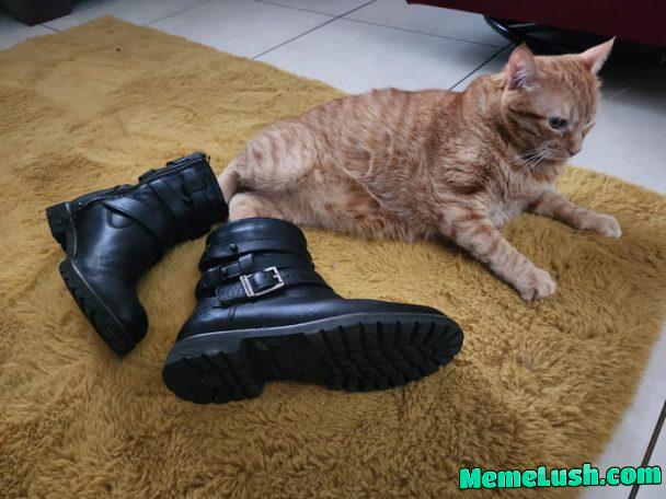 These boots are made for walking These boots are made for walking