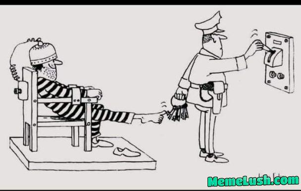 Two for the price of one. Two for the price of one.