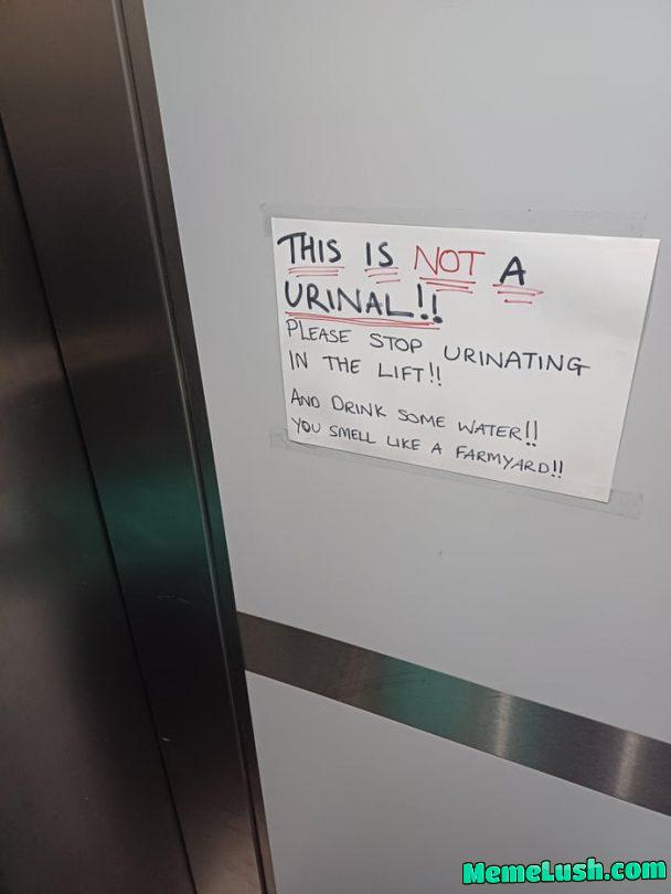 Farmyard people Farmyard people