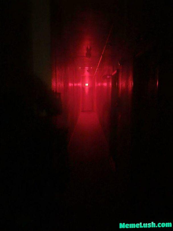 Hallway Outside of An Apartment.