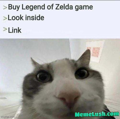 The Legend of Link. The Legend of Link.