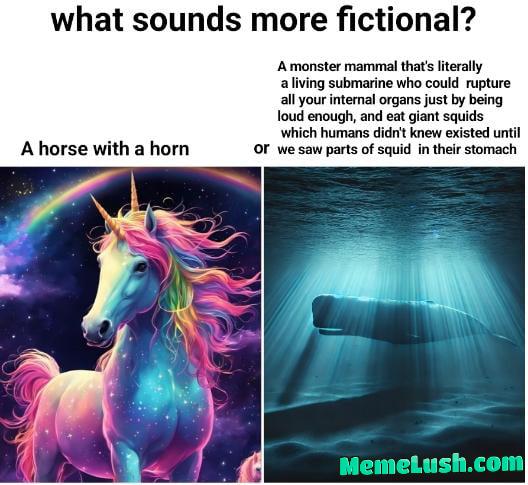 All hail the whales All hail the whales