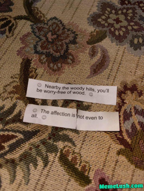 Worst Fortune Cookies EVER π Worst Fortune Cookies EVER π
