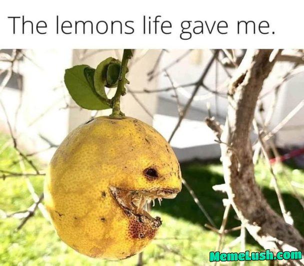 Guess Iβm making lemonade then Guess Iβm making lemonade then