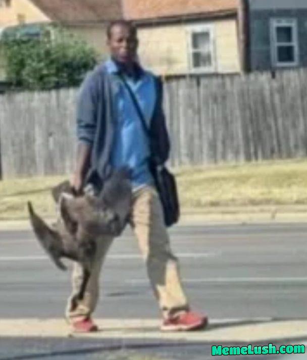 They are eating the pets. Trump won They are eating the pets. Trump won