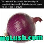 Power to the purple onions!!