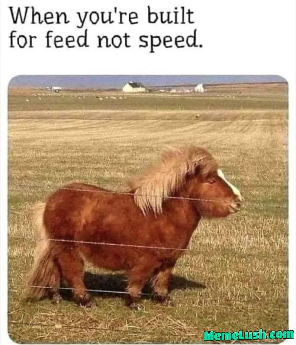 Feed > Speed π Feed > Speed π