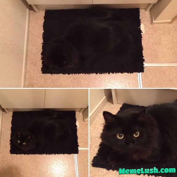 She blends in She blends in