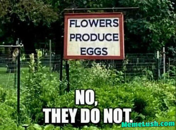 These people are liars.