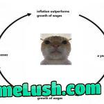 Millenial experience in a nutshell