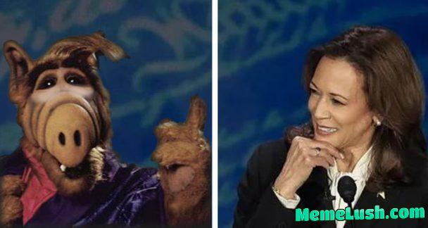 BLT. Bacon, Lucky, and Tomato!!