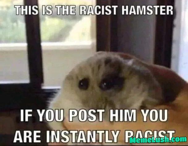 Stop, no, don’t do it Stop, no, don’t do it