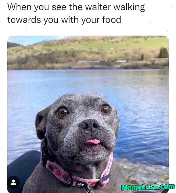 When the wait is finally over