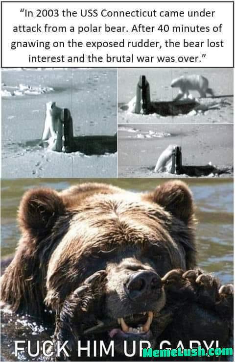 Decisive American Victory