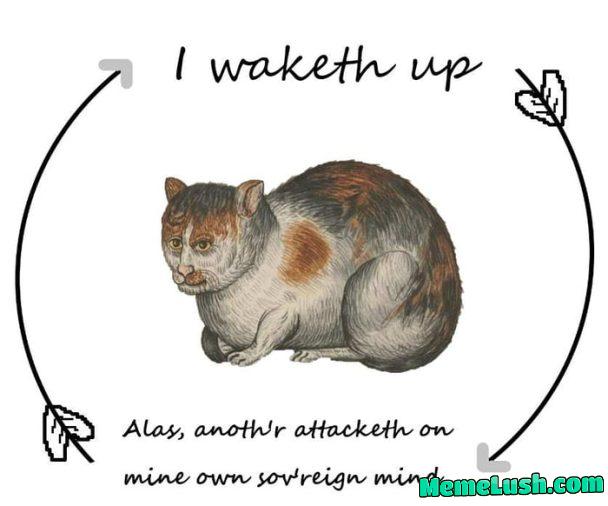 Memes i found on my phone#17 Memes i found on my phone#17