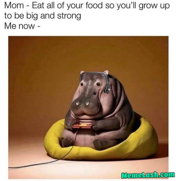 She said every girl will dream to marry me – well she lied , big time She said every girl will dream to marry me – well she lied , big time