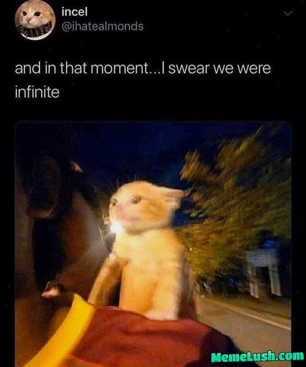 Me rushing to get home from work Me rushing to get home from work