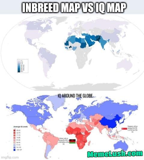 Guess who has the highest rate of inbreeding in history and the lowest current IQ in the whole planet right after sub Sahara Africa. Guess who has the highest rate of inbreeding in history and the lowest current IQ in the whole planet right after sub Sahara Africa.