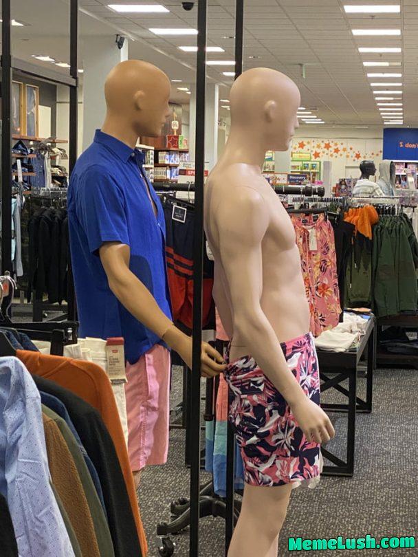 Trying their best to hide 🫣