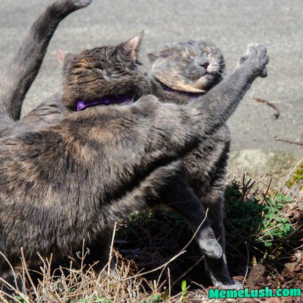 It was in this moment, Nina knew she f**ked up. It was in this moment, Nina knew she f**ked up.