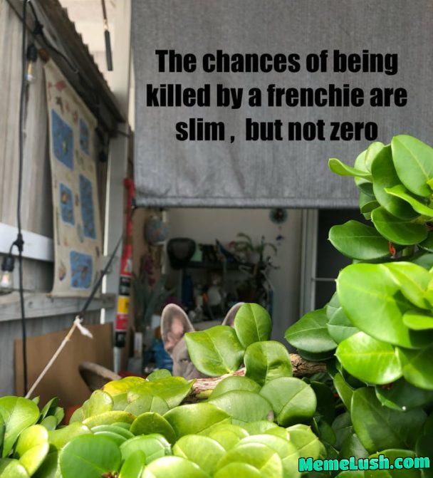 There is always a chance β¦ There is always a chance β¦