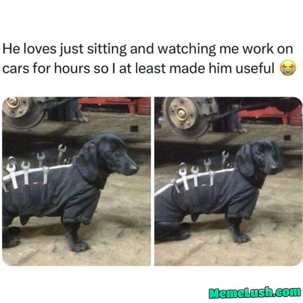 That’s smart ngl 😂