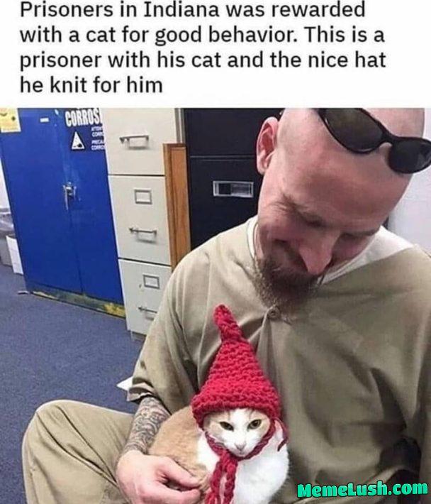 π€£π€£π€£ π€£π€£π€£