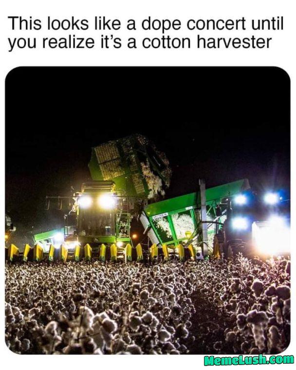 Looks like a cool show Looks like a cool show