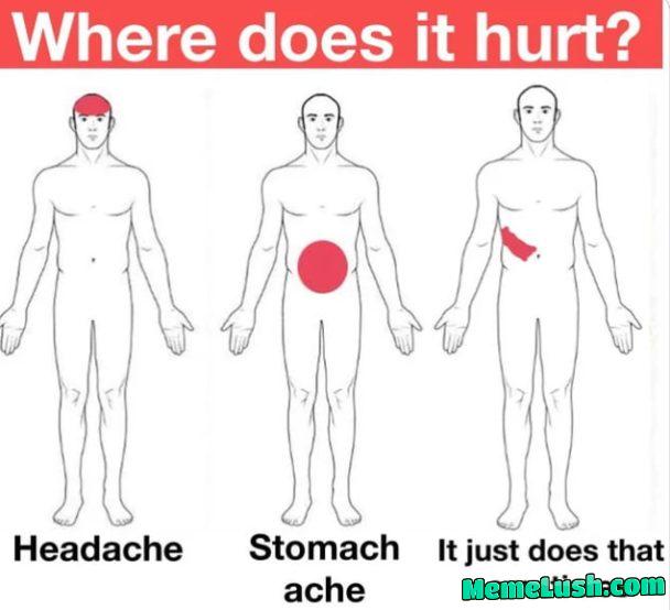 Honestly, whatβs up with that? Honestly, whatβs up with that?