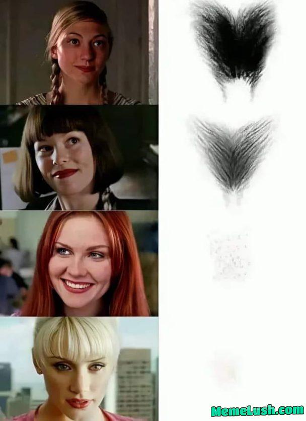 Them bushes Them bushes