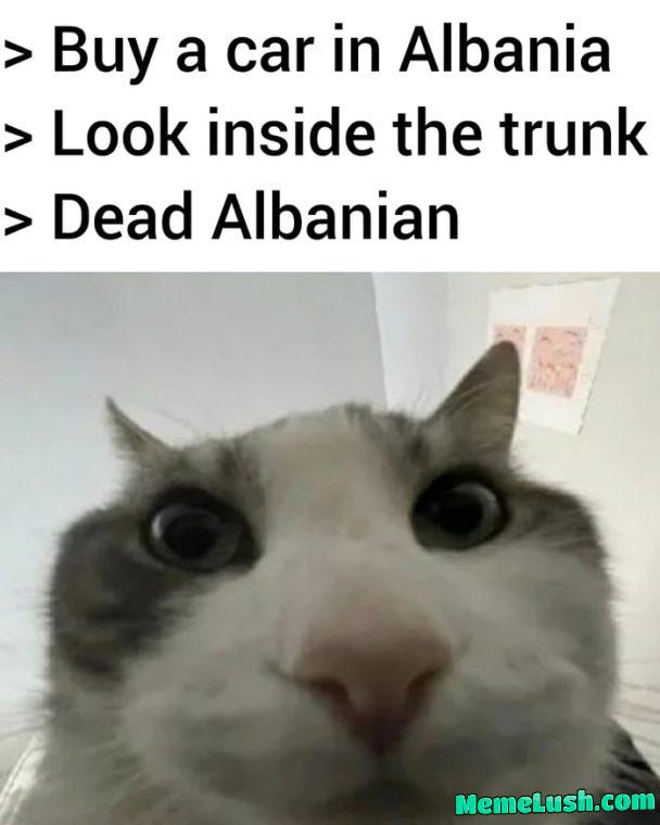 > Look under the seat > Serbian AK-47