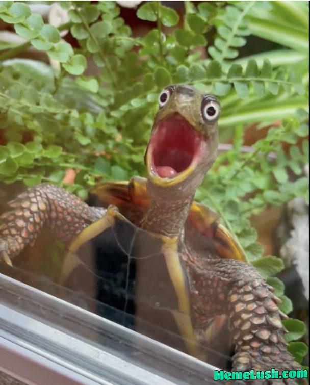 Ok guys, do your best Ok guys, do your best