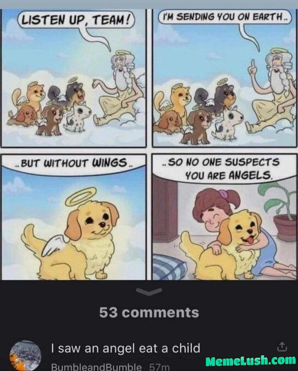 All dogs go to heaven… and some send you there All dogs go to heaven… and some send you there