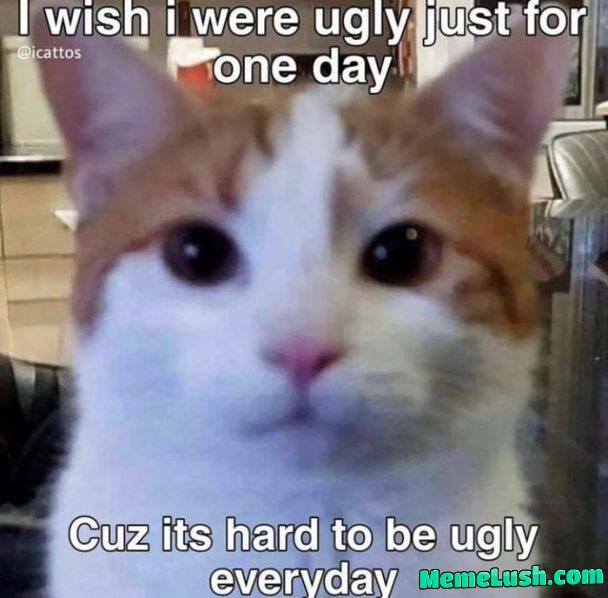 Lift Heavy stuff. Still Ugly. Lift Heavy stuff. Still Ugly.