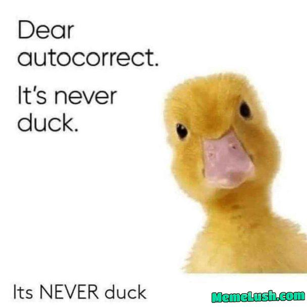 It’s always digger, right? RIGHT??? It’s always digger, right? RIGHT???