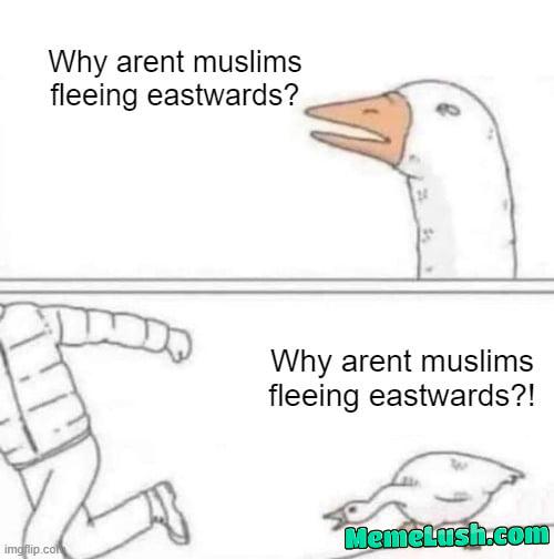 Destination? Europe. Specifically? France/Germany Destination? Europe. Specifically? France/Germany