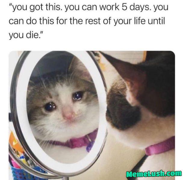 Or until I win in the lottery that I did not partake in Or until I win in the lottery that I did not partake in