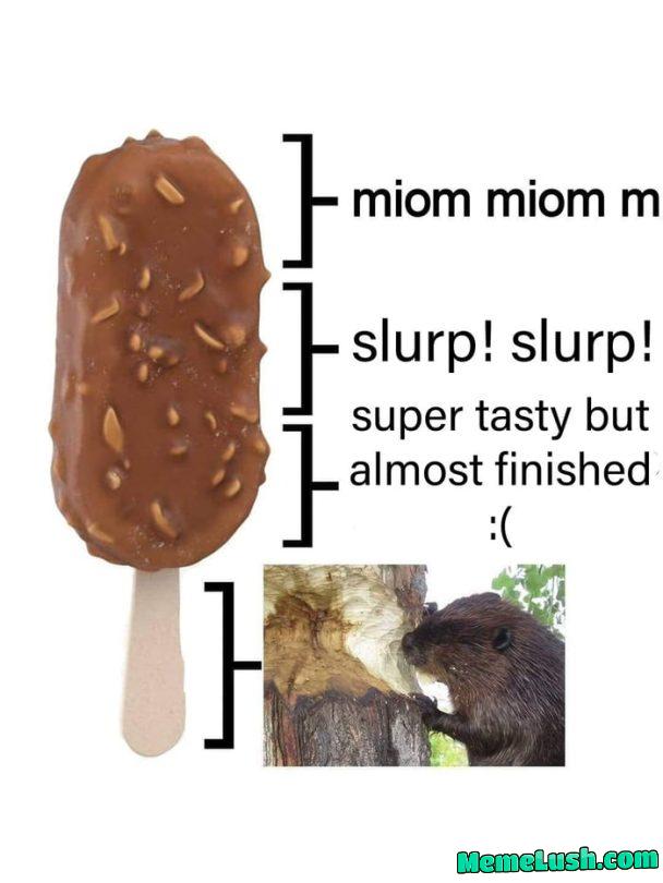 Ice cream : Ice cream :