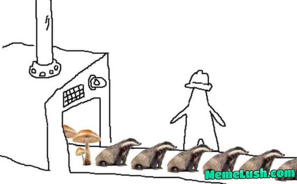 Badger badger badger