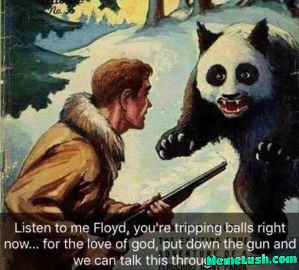 That weren’t no chanterelle. That weren’t no chanterelle.