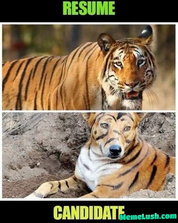 Useual corporate thing !