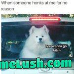 “Honk one more time, I dare you”