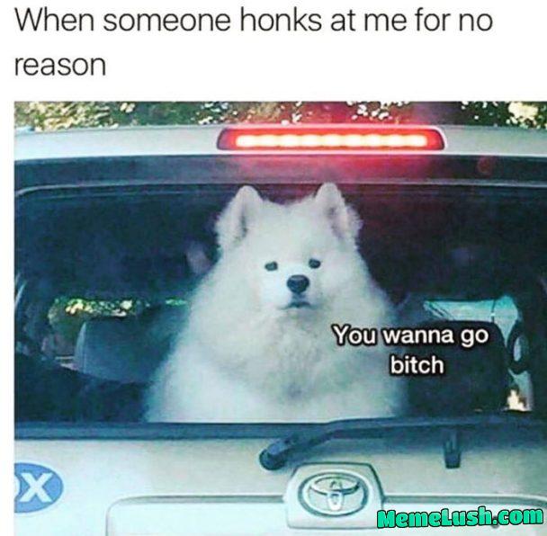 βHonk one more time, I dare youβ βHonk one more time, I dare youβ