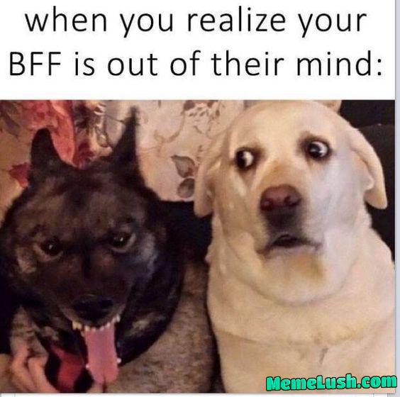 Sevro and Darrow: bffs Sevro and Darrow: bffs