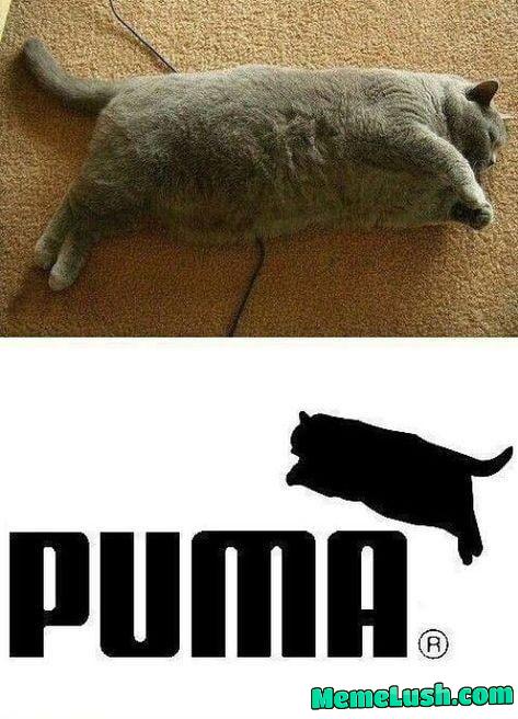 Can you spot the difference?