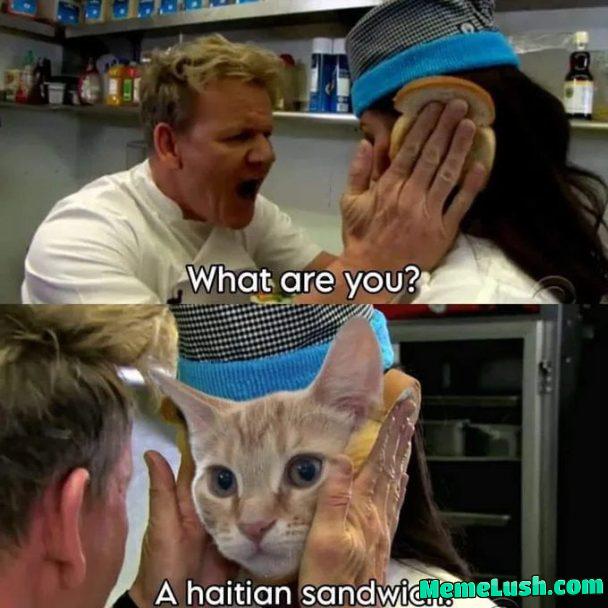 Hell yeah i’m bout dat life y’all Hell yeah i’m bout dat life y’all