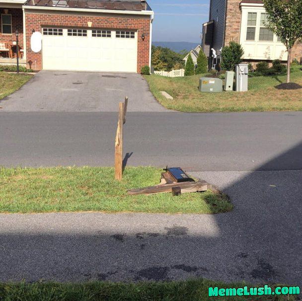 Woke up to this. Woke up to this.