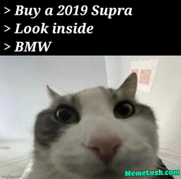 Is that a … nope. Is that a … nope.