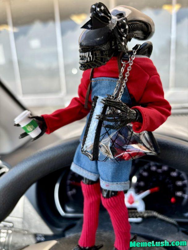 Pookie’s Saturday vibes